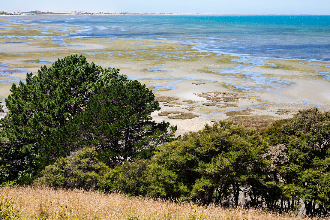 Tidal coast at Farewell Spit Nature Reserve, South Island, New Zealand