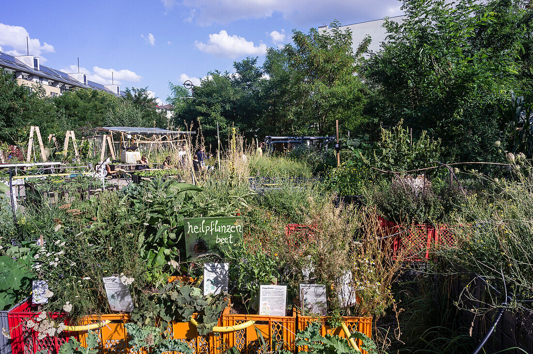 Prinzessinnengarten, Umwelt Projekt mit ökologischen Anbau