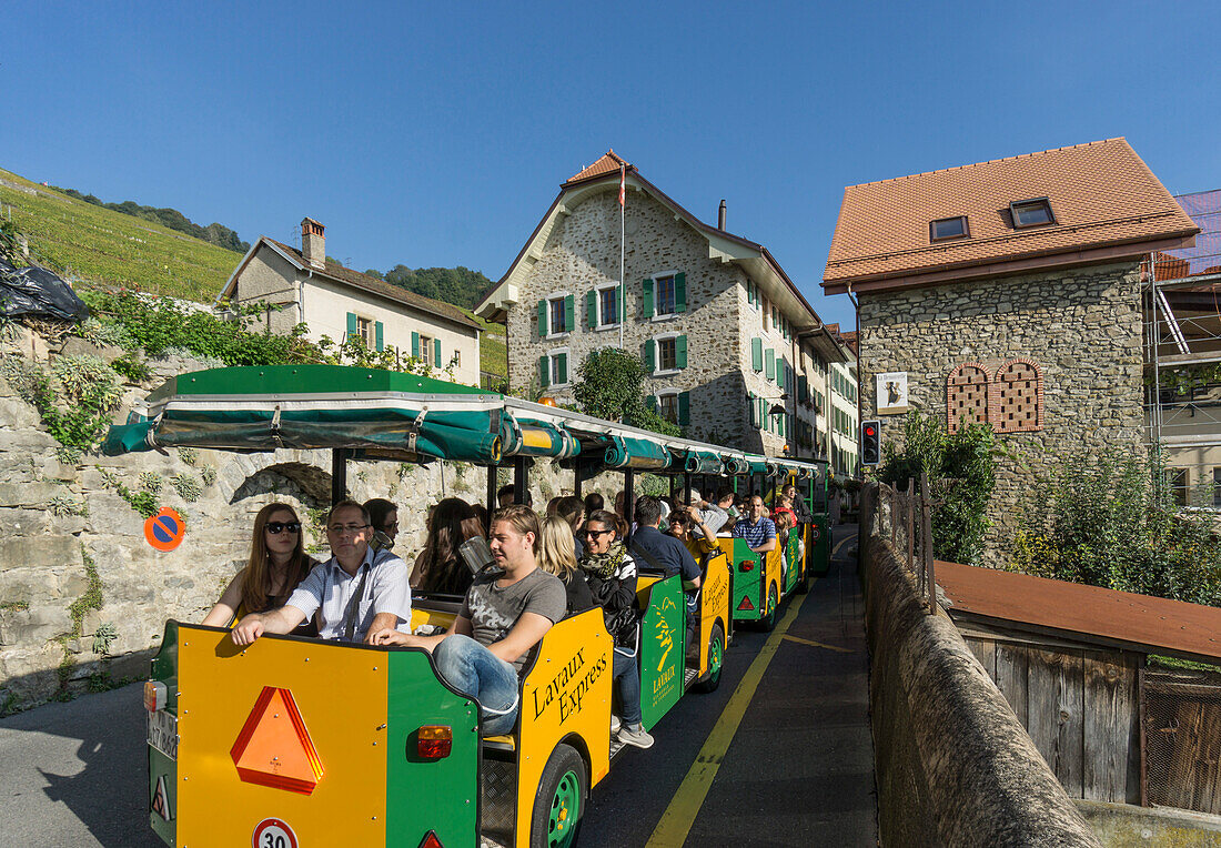 Epesses, Vineyards , Lavaux region, Lake Geneva, Swiss Alps,  Switzerland