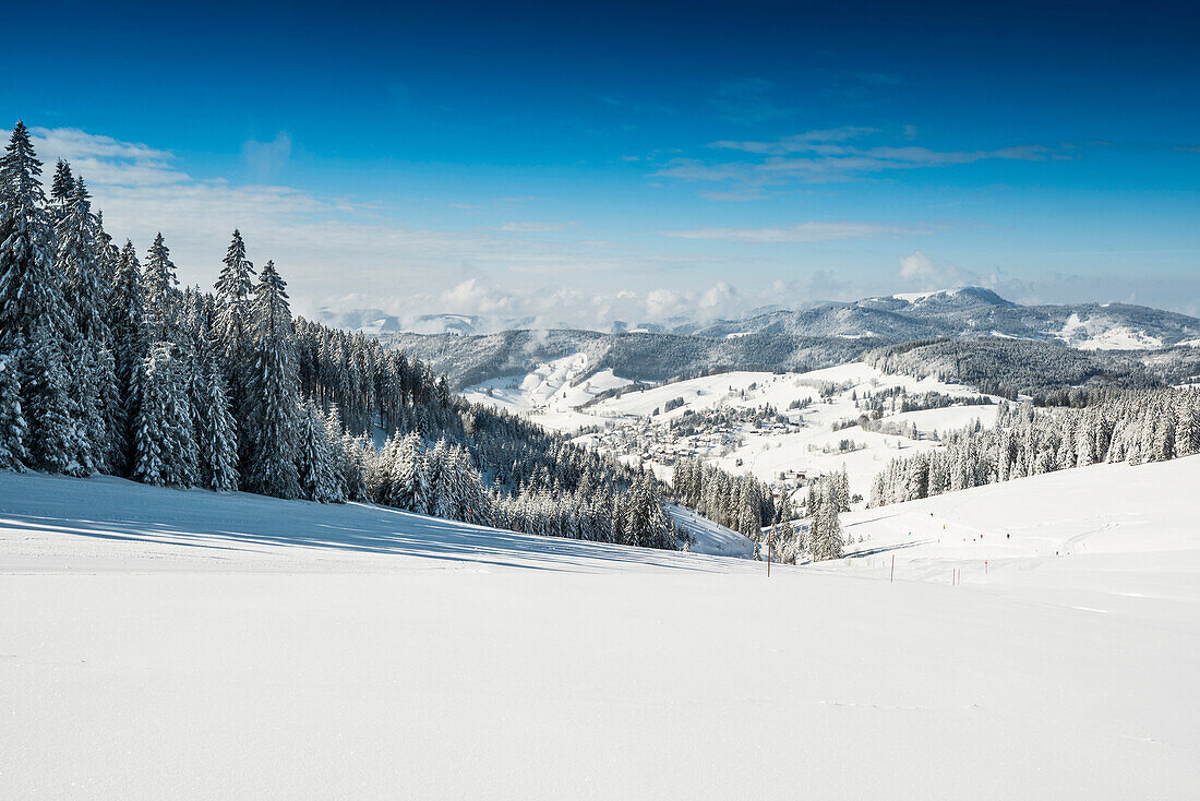 verschneite Landschaft, Todtnauberg, Schwarzwald, Baden-Württemberg, Deutschland