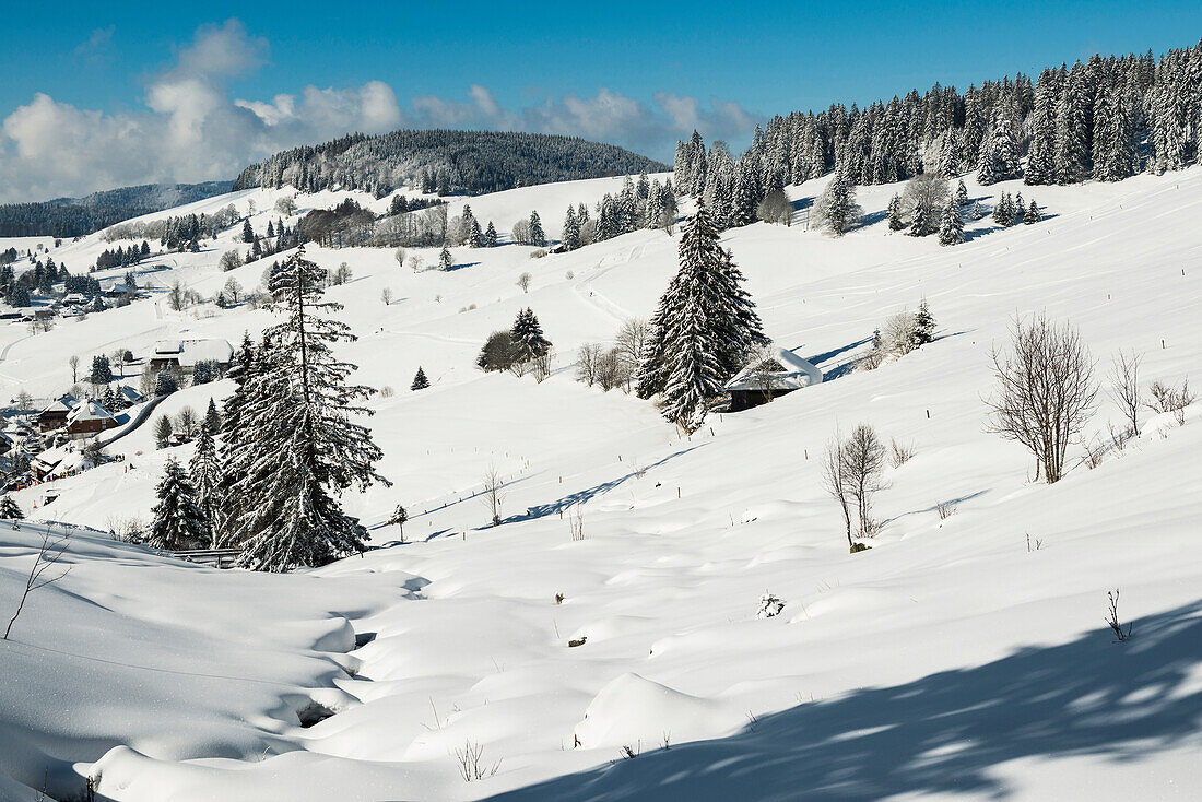 winter landscape, Todtnauberg, Black Forest, Baden-Wuerttemberg, Germany