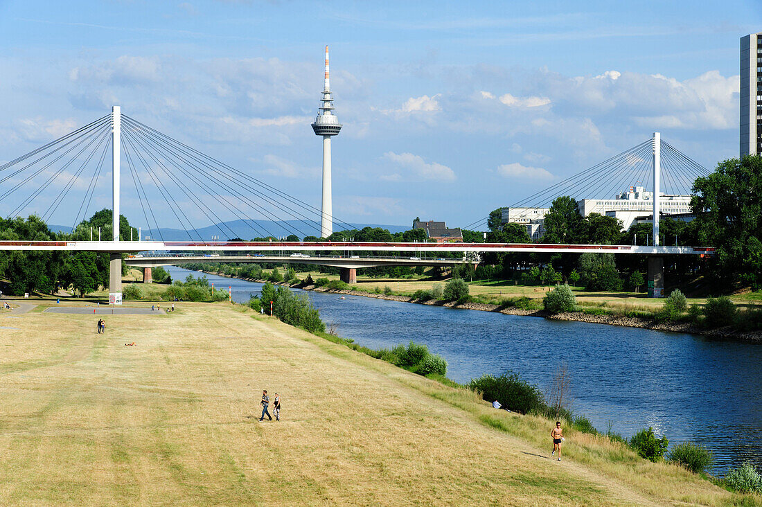 Brücke über den Neckar, Fernsehturm, Mannheim, Baden-Württemberg, Deutschland