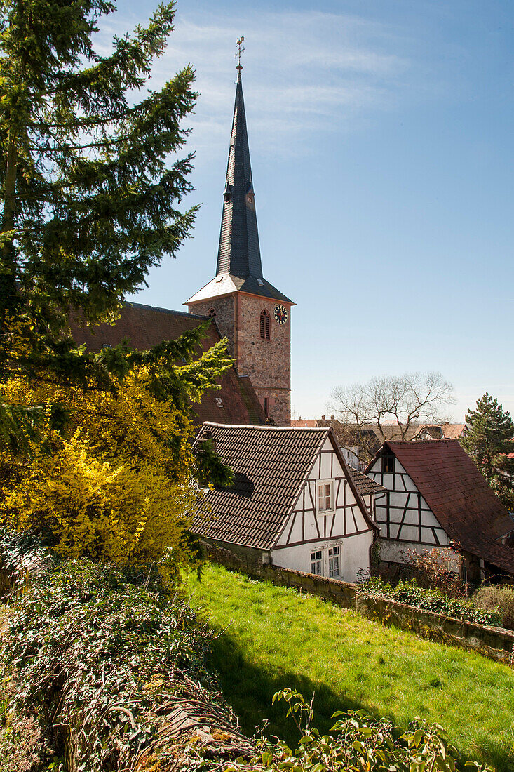 Church and timber framed houses, Laudenbach, Bergstrasse, Baden-Wuerttemberg, Germany