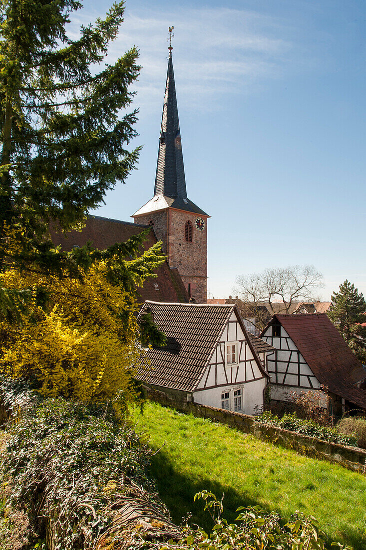 Kirche und Fachwerkhäuser, Laudenbach, Bergstraße, Baden-Württemberg, Deutschland
