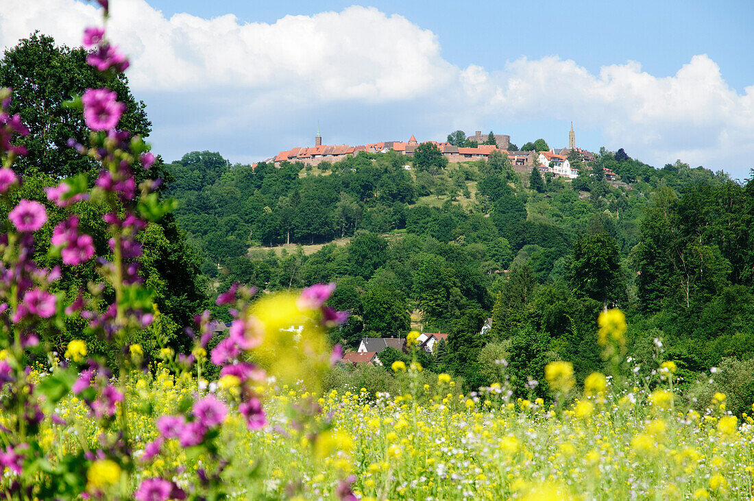 Blumenwiese mit Bergdorf Dilsberg am Neckar im Hintergrund, Baden-Württemberg, Deutschland