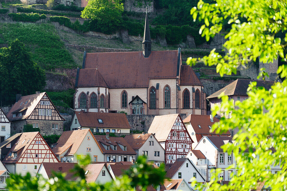 old town of Hirschhorn on river Neckar, Hesse, Germany