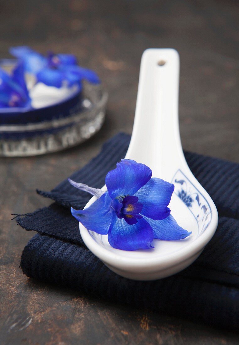 A delphinium on a porcelain spoon on folded fabric