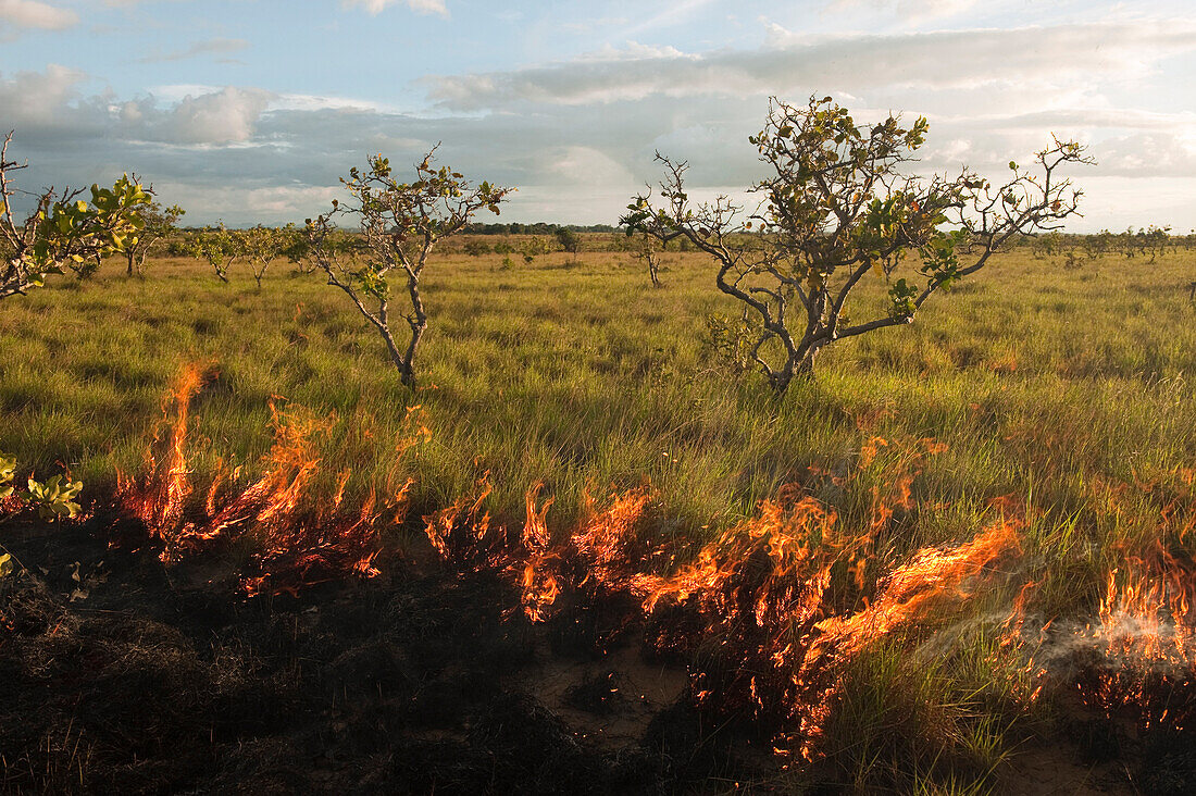 Fire in savannah, Rupununi, Guyana