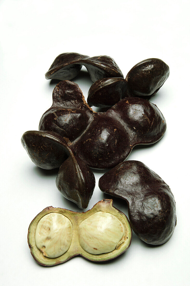Jengkol (Archidendron jiringa) fruit used for various medicinal purposes, Kuching, Borneo, Malaysia