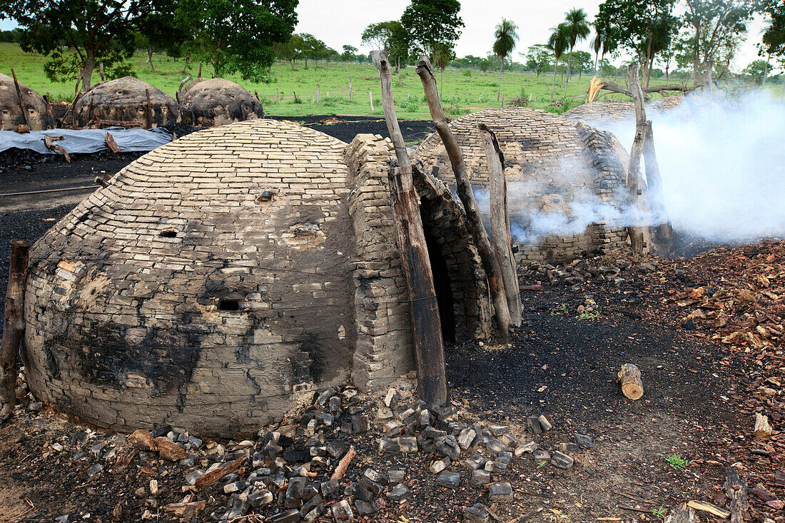 Charcoal kilns in unprotected forest is one of the main threats to habitat, Pantanal, Brazil