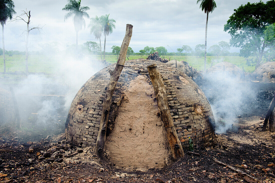 Charcoal kilns in unprotected forest is one of the main threats to habitat, Pantanal, Brazil