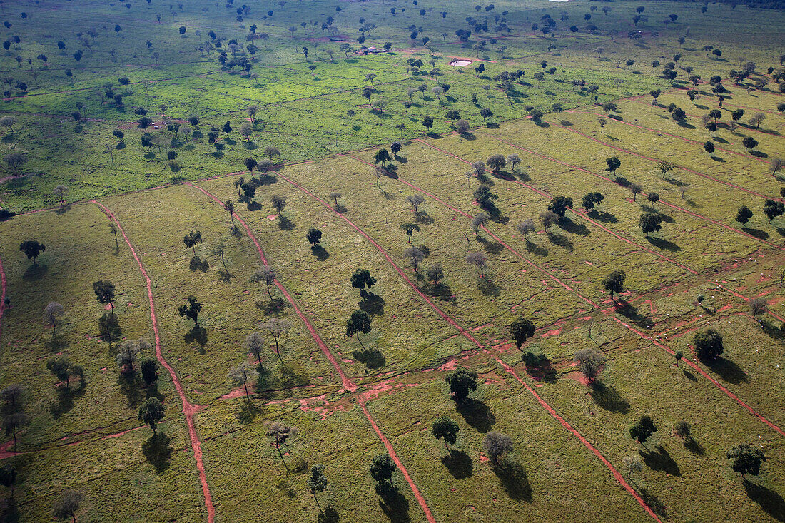 Large area of forest cleared for cattle grazing, Pantanal, Brazil