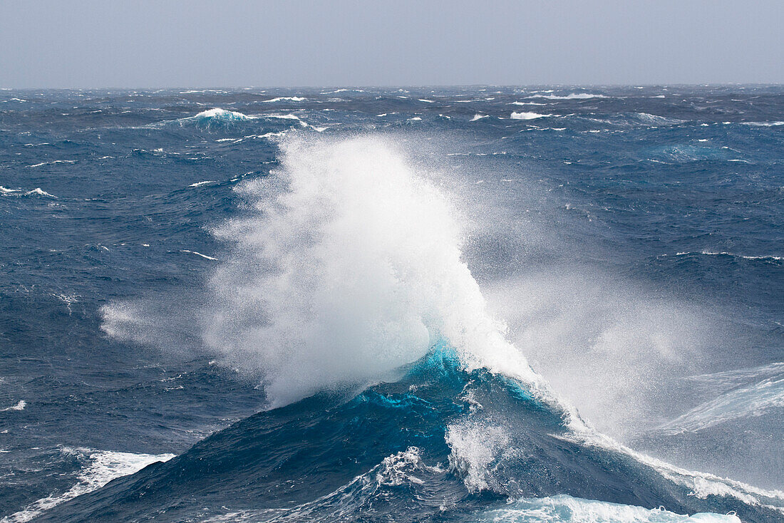 Waves of the Southern Ocean off South Georgia Island