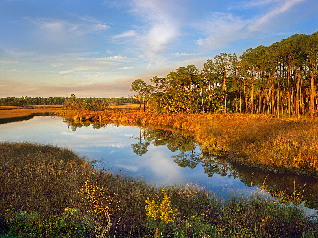 Lake near Apalachicola, Florida