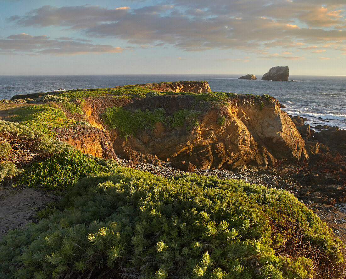 Coastal rocks, Point Piedras Blancas, California