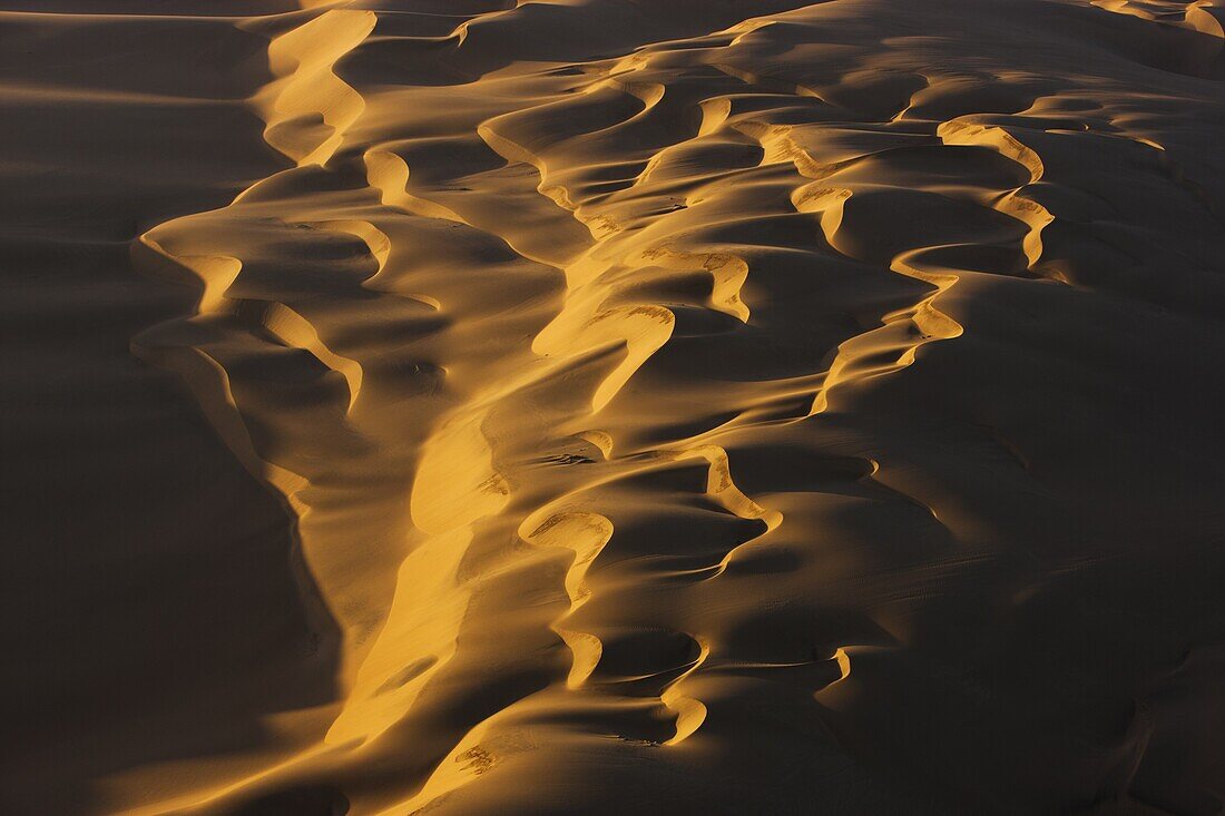 Sand dunes, Namib-Naukluft National Park, Namib Desert, Namibia