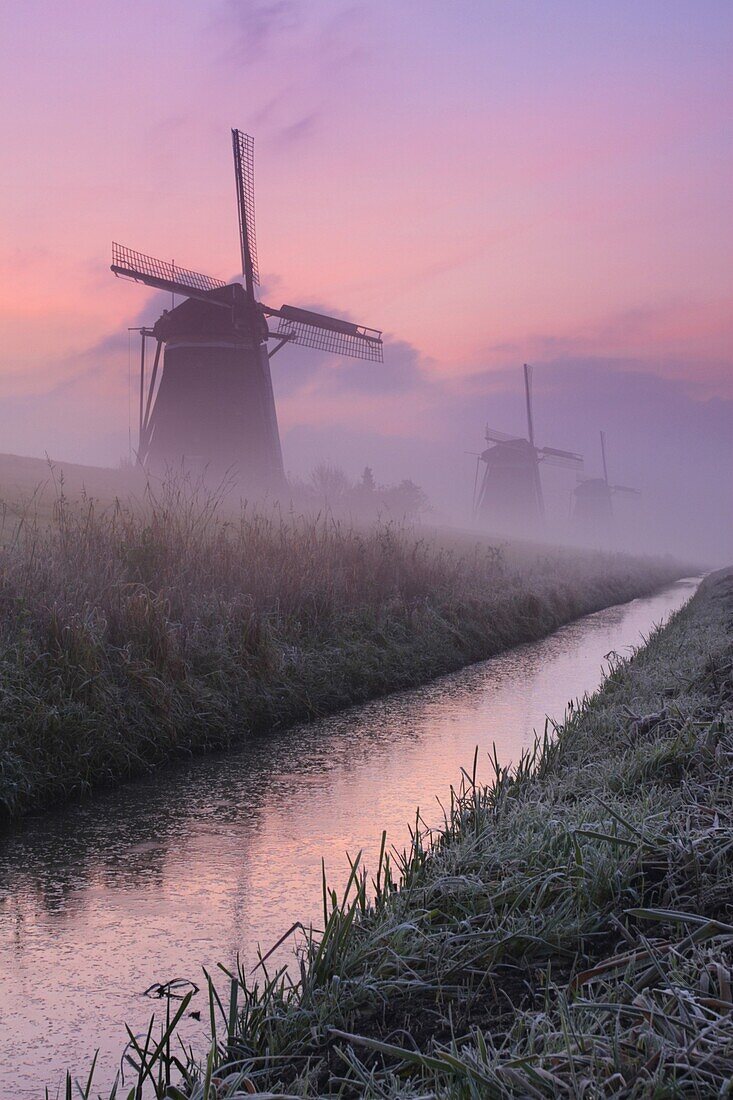 Windmills in mist at dawn, Leidschendam, Netherlands