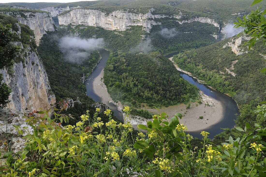 Gorges along the Ardeche River, France