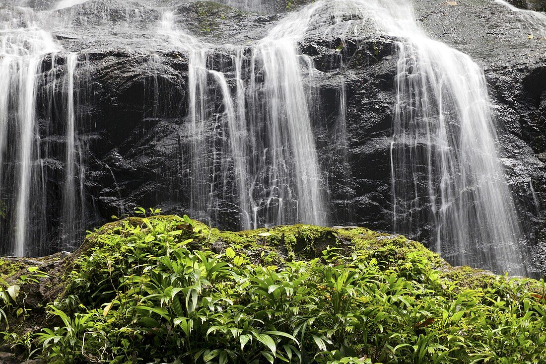 Waterfall in Brownsberg Nature Park, Surinam