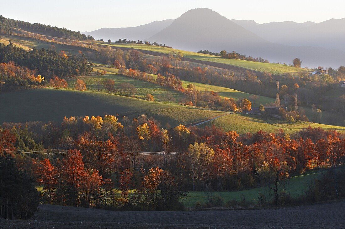 Bocage landscape, Vercors Regional Natural Park, France