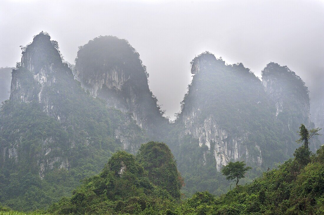 Limestone karst mountains, Guangxi, China