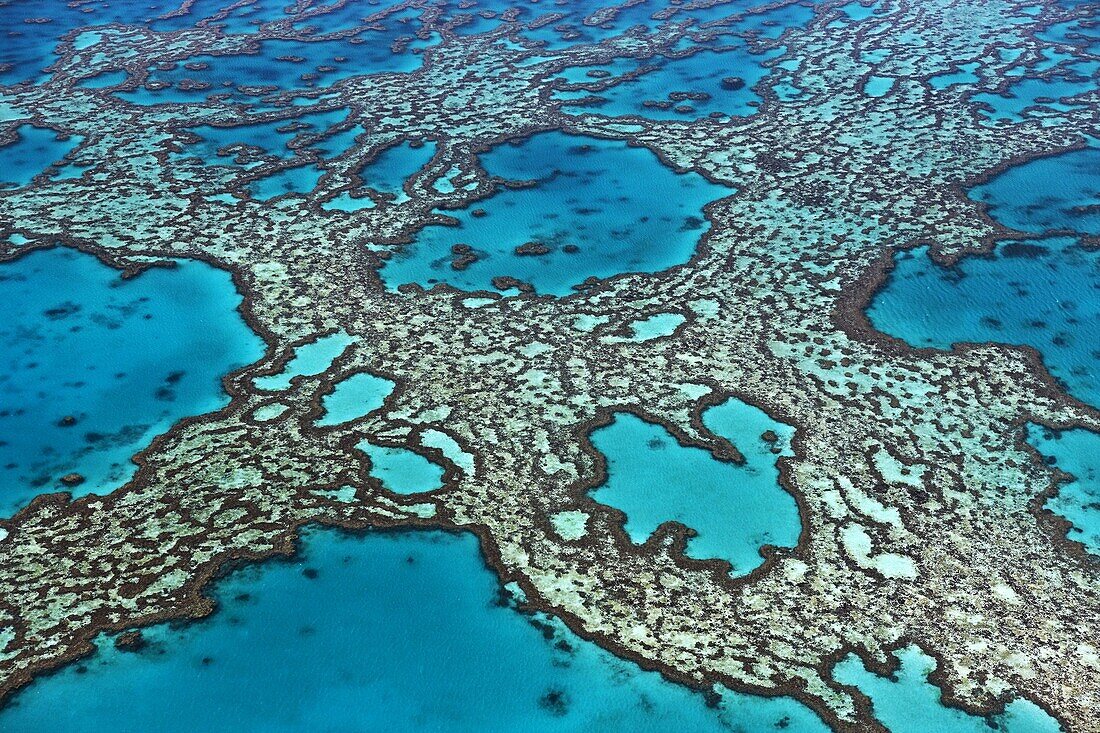 Coral formations on Hardy Reef, Great Barrier Reef, Queensland, Australia