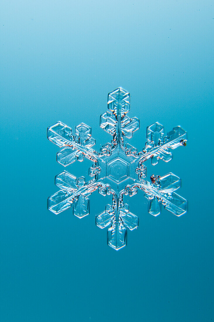 Snowflake seen through microscope