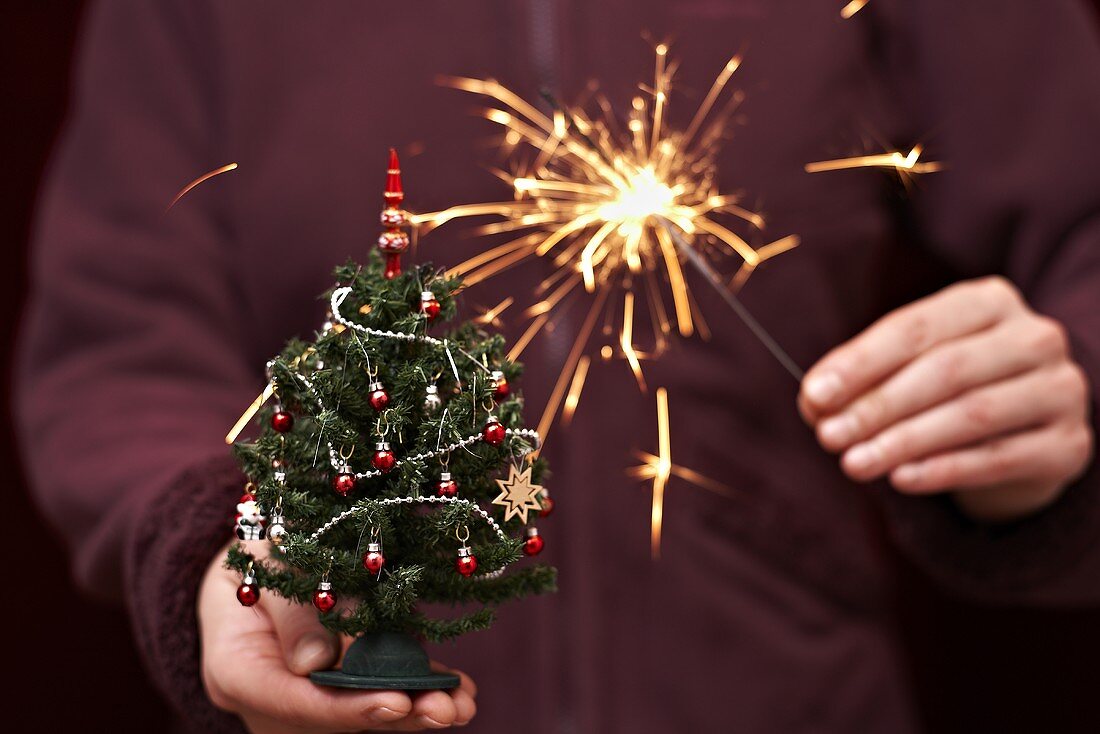 Person hält Mini-Weihnachtsbaum und Sprühkerze