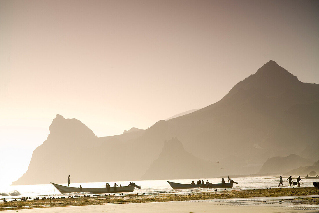 Fisherman off-loading the days catch at sunset, Hawf Protected Area, Yemen