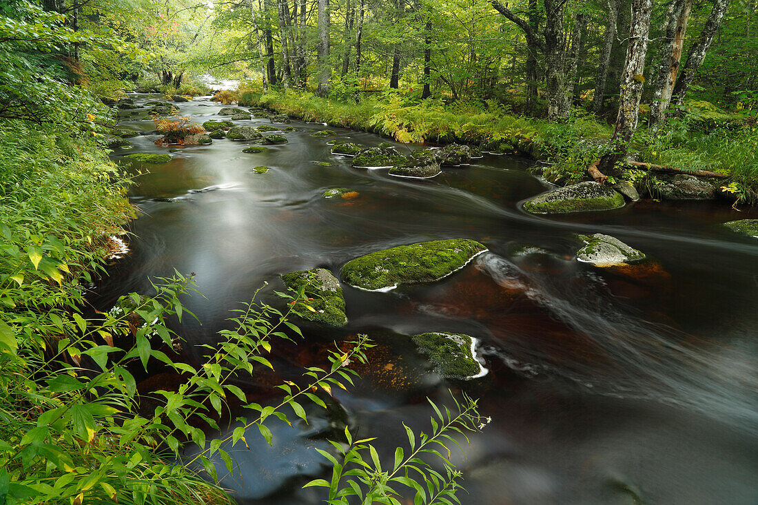 Upper Bear River in early autumn, Nova Scotia, Canada