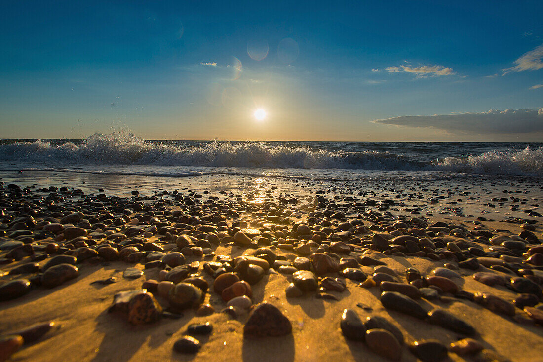 Pebbles on a Baltic Sea beach in the evening sun, Dierhagen, Mecklenburg Vorpommern, Germany