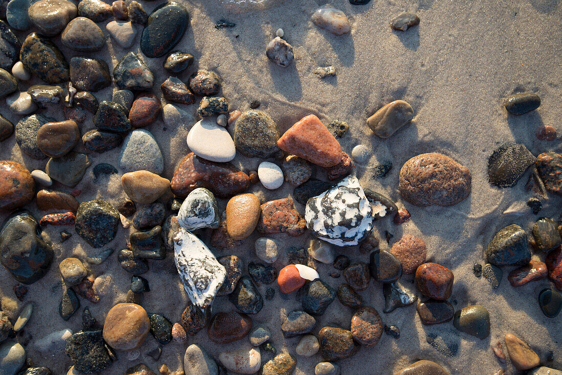 Bunte Kieselsteine am Ostseestand, Dierhagen, Mecklenburg Vorpommern, Deutschland