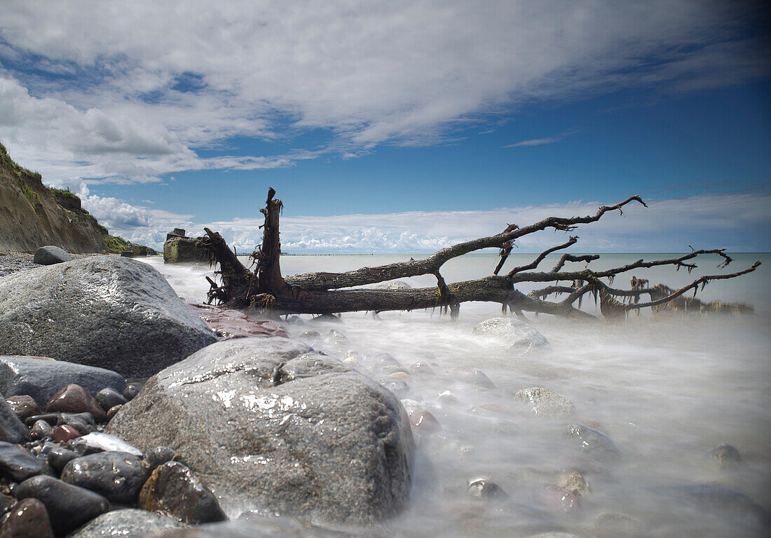 Fallen tree between rocks in the Baltic Sea, Ahrenshoop, Darss, Mecklenburg Vorpommern, Germany