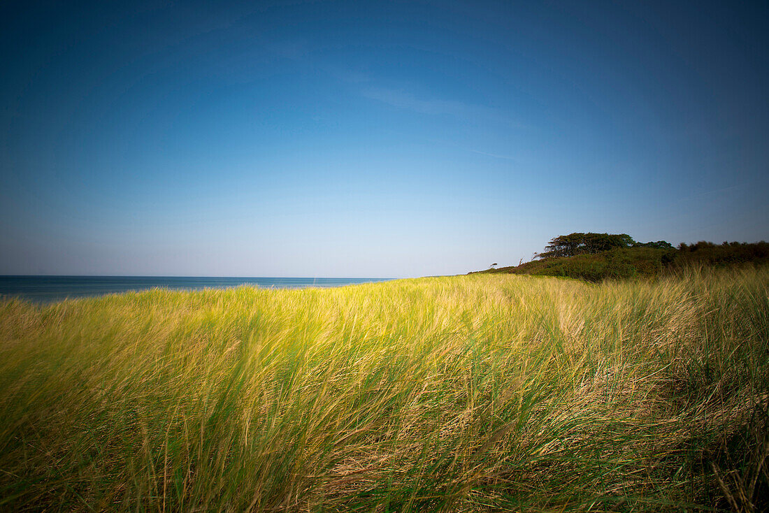 Dünenlandschaft an der Ostsee, Dierhagen, Darß, Mecklenburg Vorpommern, Deutschland