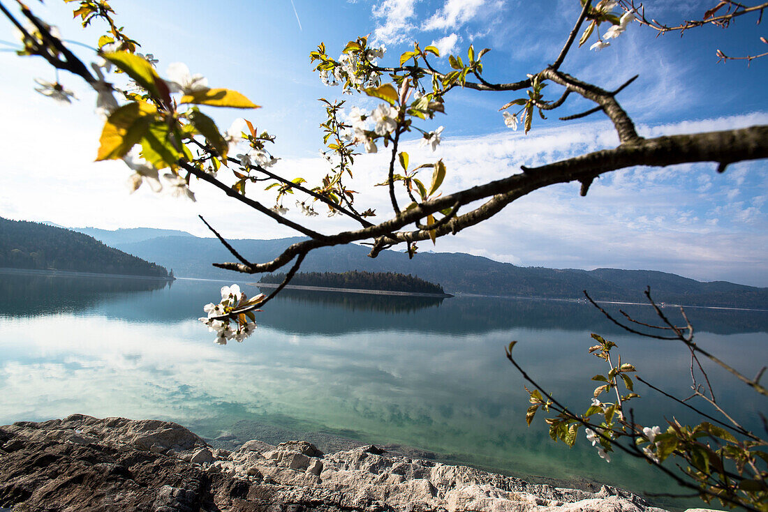 Views of lake Walchensee and Sassau island, Walchensee, Alps, Upper Bavaria, Bavaria, Germany