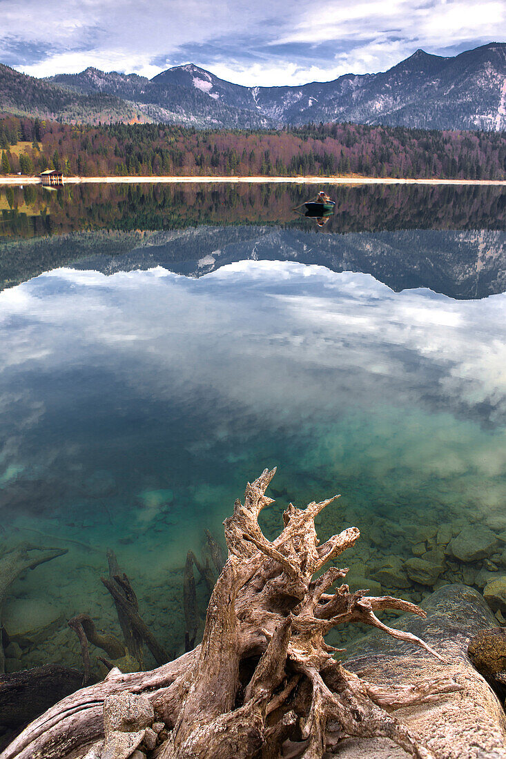 Wurzel im Walchensee bei Niedrigwasser vor Alpenpanorama, Walchensee, Alpen, Oberbayern, Bayern, Deutschland