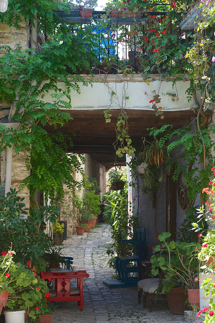 Gasse mit vielen Topfpflanzen in Pano Lefkara, Nikosia, Zypern