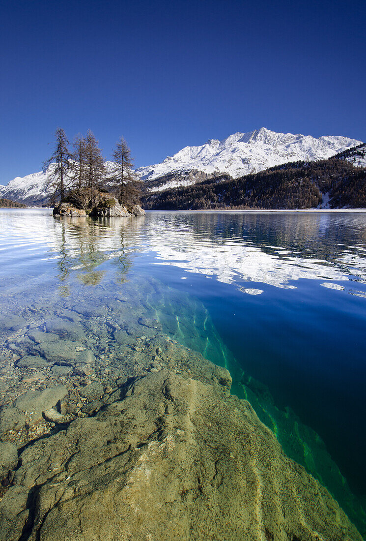 Silsersee mit Seegrund und  kleiner Insel nahe Plaun da Lej und Isola am gegenüberliegenden Ufer, Engadin, Graubünden, Schweiz