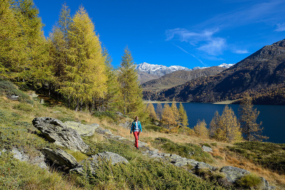 Woman hiking above Lake Sils with the village of Isola and Piz Corvatsch (3451 m) on the opposite shore, Engadin, Grisons, Switzerland