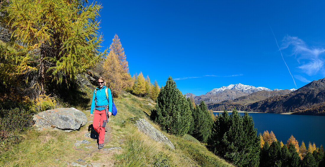 Frau wandert oberhalb des Silsersees mit dem Ort Isola und Piz Corvatsch (3451 m) am gegen?berliegenden Ufer, Engadin, Graubünden, Schweiz