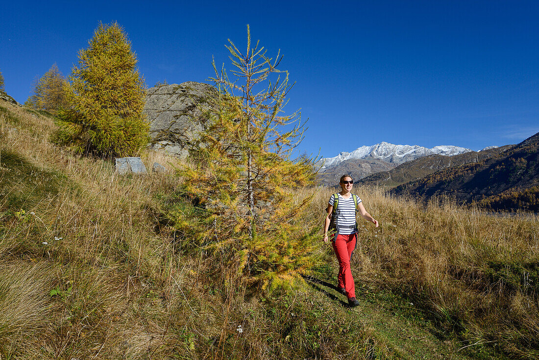 Woman hiking above Lake Sils with Piz Corvatsch (3451 m) in the background, Engadin, Grisons, Switzerland