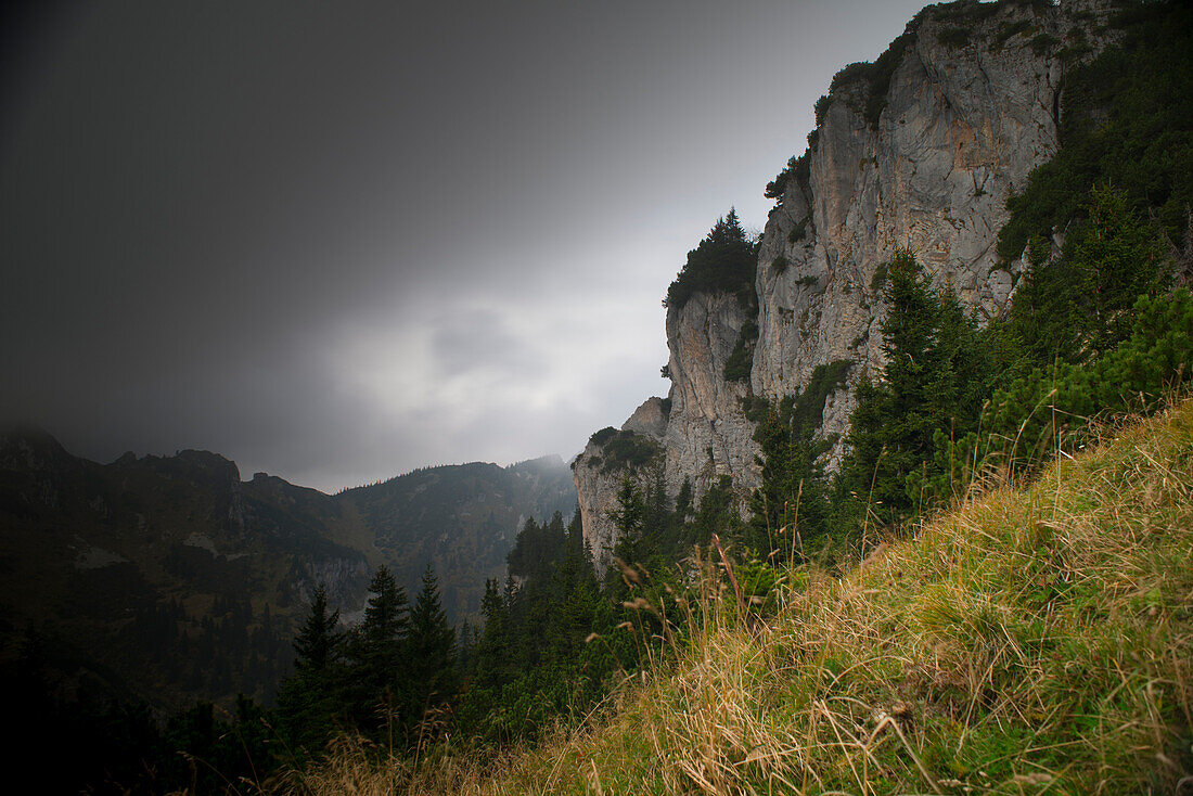 Felsen am Brauneck in den bayerischen Alpen, Lenggries, Bayern, Deutschland