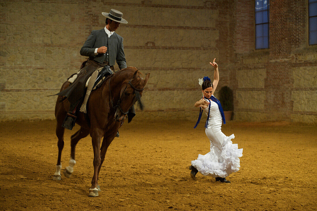 Flamenco Aufführung, Tänzerin und Reiter, Córdoba Ecuestre in der Calle Caballerizas Reales in Cordoba, Andalusien, Spanien