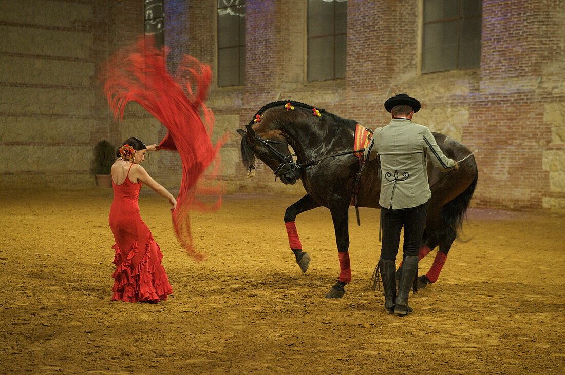 Flamenco Aufführung, Tänzerin und Reiter, Córdoba Ecuestre in der Calle Caballerizas Reales in Cordoba, Andalusien, Spanien