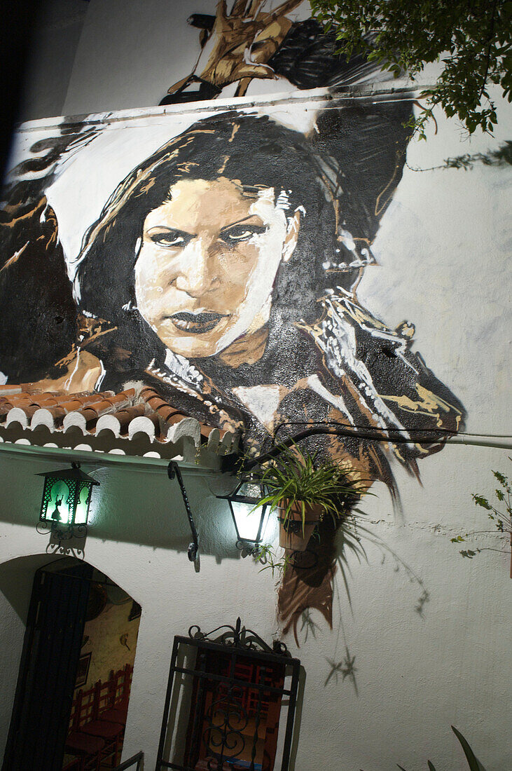 Painting of a Flamenco dancer above the entrance of a cave in the Sacromonte quarter, Granada, Andalusia, Spain