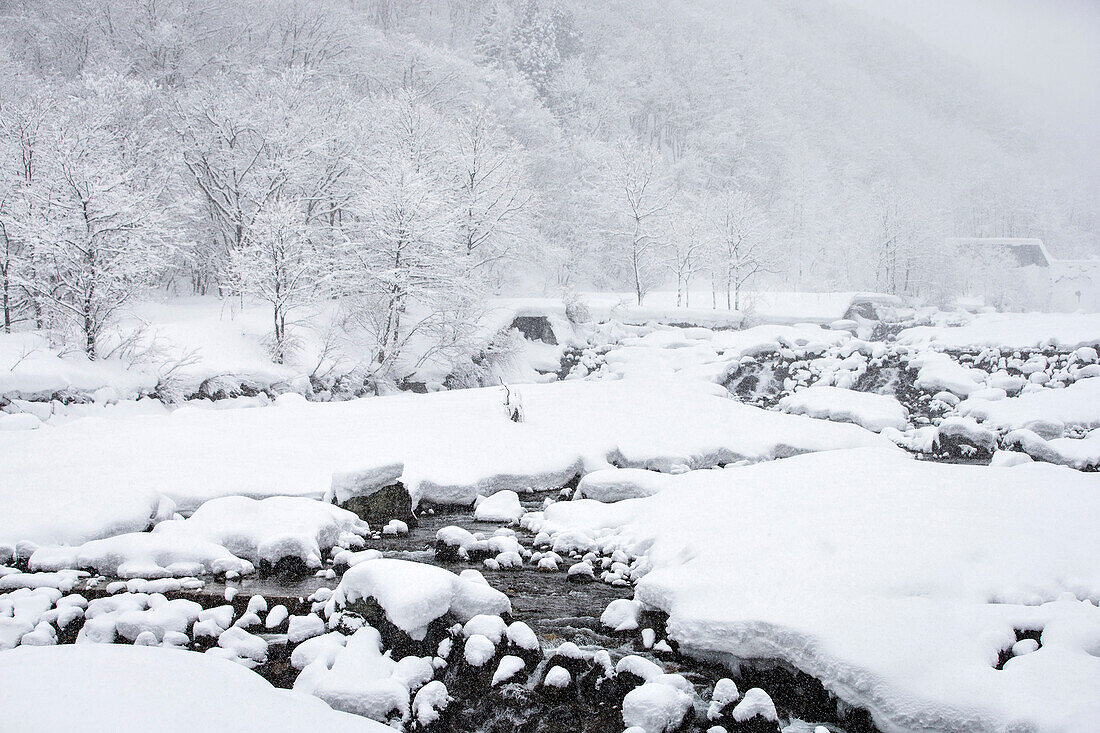 Schneefall im Gebiet Happoone, Hakuba, Nagano, Japan