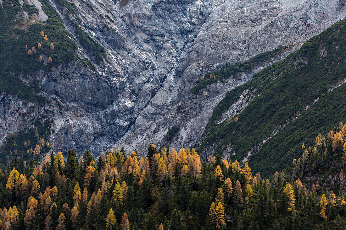 Stelvio, Stelvio, South Tyrol, Italy.