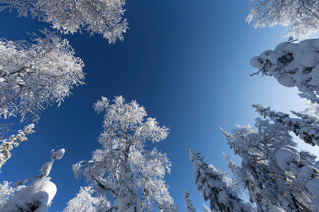 Verschneite Tundra vor der Hochebene der Seven Giants, Burmantovo, Oblast Swerdlowsk, Ural, Russland