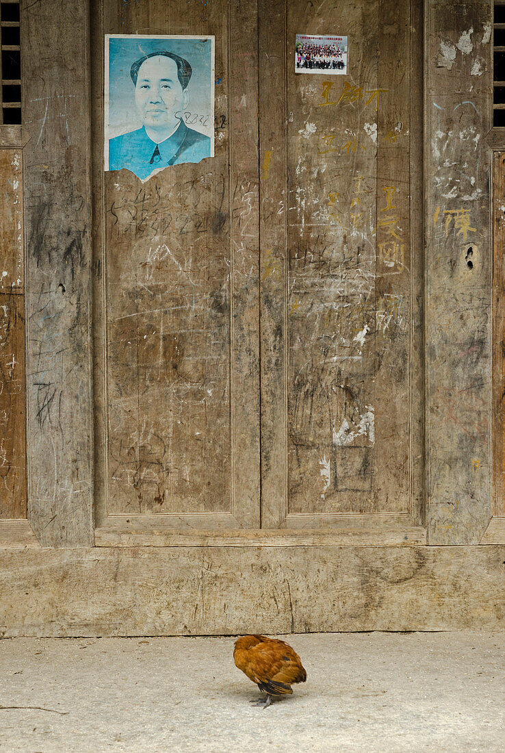 Ein schlafendes Huhn vor einem Plakat von Mao in einem Dorf im abgelegenen Getu Tal, Provinz Guizhou, China