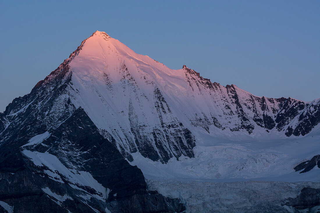 The summit of the Weisshorn glowing in soft pink at dawn, Pennine Alps, canton of Valais, Switzerland
